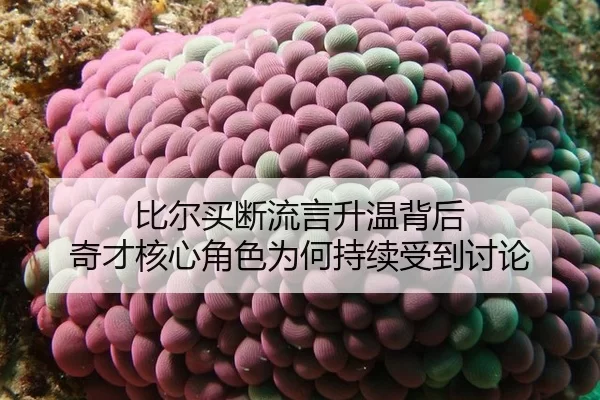 bi-er-mai-duan-liu-yan-sheng-wen-bei-hou-qi-cai-he-xin-jue-se-wei-he-chi-xu-shou-dao-tao-lun-2-576.jpg